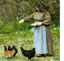 Grace Brockway feeds some of her chickens on her previous homestead in Ottisville, New York. She recently started a new homestead near Ellenburg Depot.